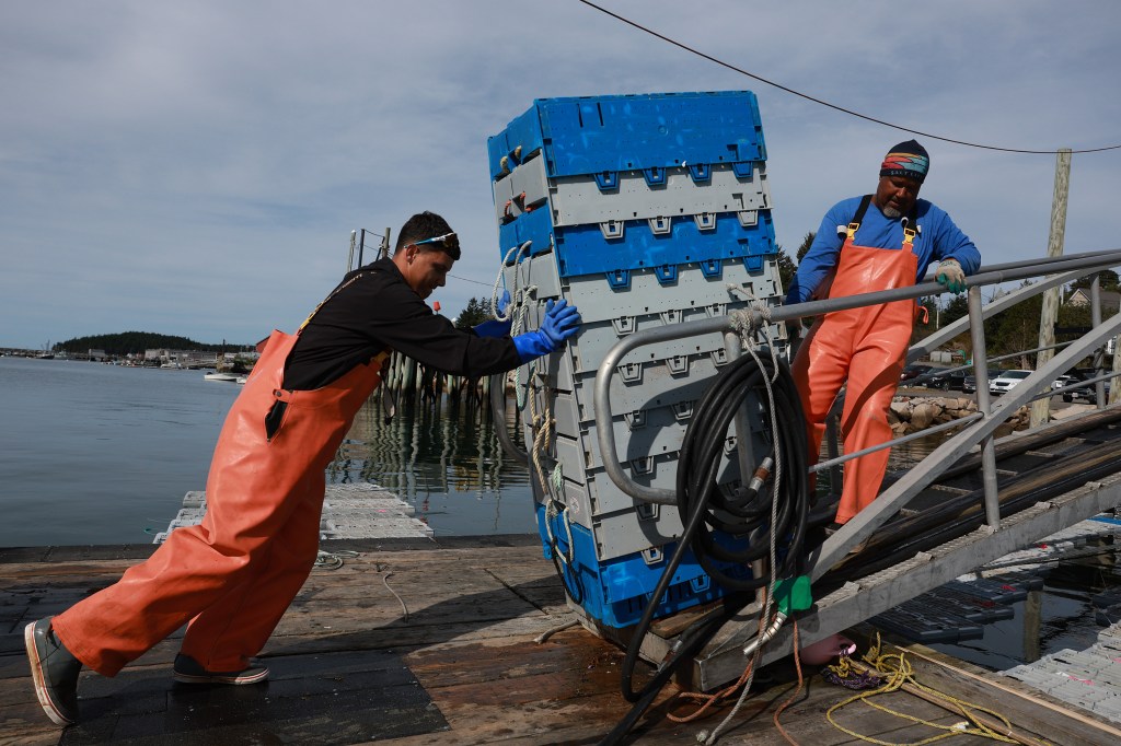 Luis Javier (L) and Wichie Torres pull lobster boxes to dry ground at the Stonington Lobster Co-op in preparation for the possible arrival of Hurricane Lee on September 15, 2023, in Stonington, Maine. 
