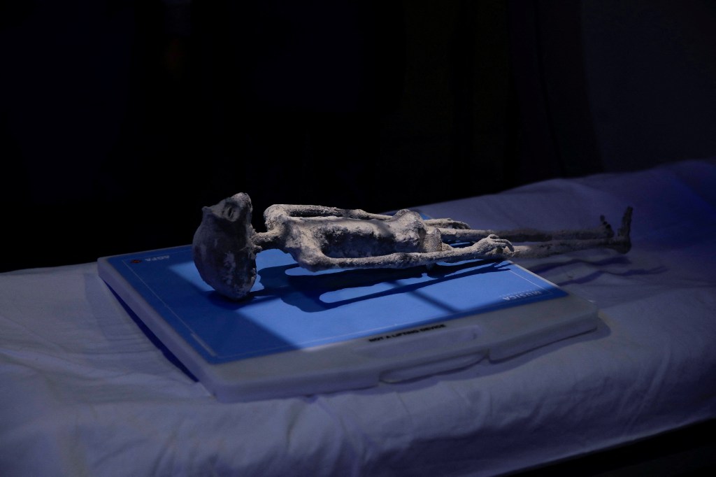 A tiny body of a specimen is pictured before an x-ray examination, at Noor Clinic, in Huixquilucan, Mexico September 18, 2023